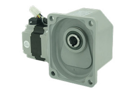 SF22-200W永磁SGF直角軸減速電機(jī)
